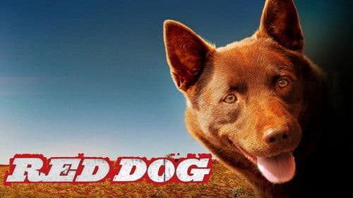 Red Dog Bild 5