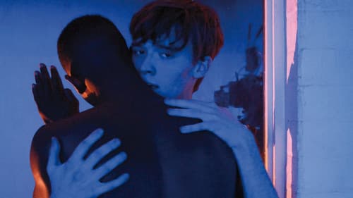 Sequin in a Blue Room Bild 2