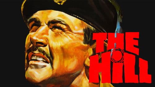 Ein Haufen toller Hunde Bild 5