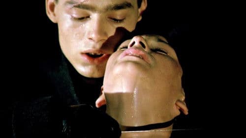 Im Glaskäfig Bild 5