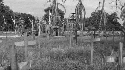 Die gelbe Hölle Bild 1