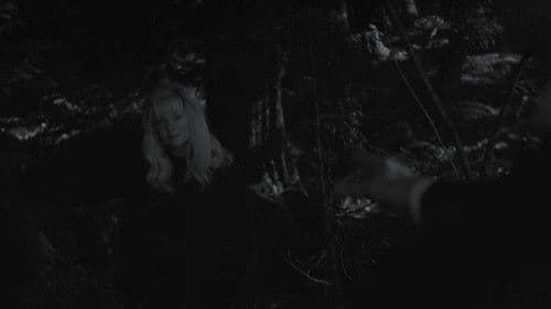 TV 동물농장 Bild 2