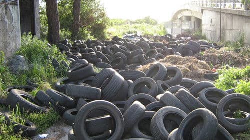 Biùtiful Cauntri Bild 1