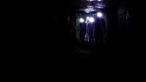 Die Virus-Jäger Bild 4