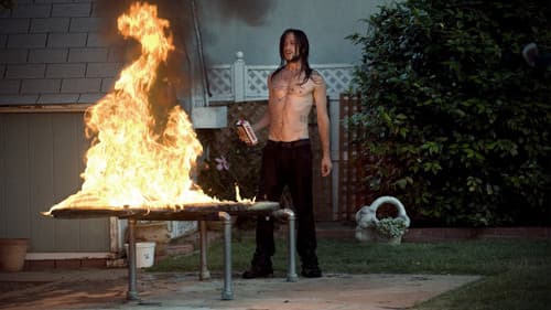 Hesher - Der Rebell Bild 4