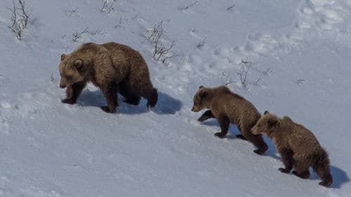 Russia's Wild Sea Bild 2