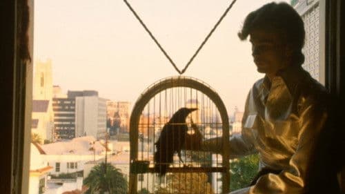 Willow Springs Bild 7