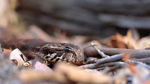 Extraordinary Australia Bild 4