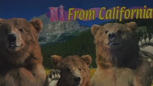 The Backseatsman Bild 1