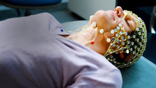 Zurück von den Toten Bild 2