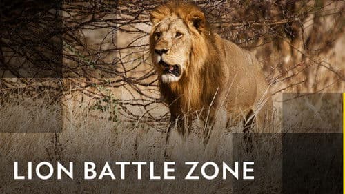 Lion Battle Zone Bild 1