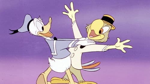 Drei Caballeros im Sambafieber Bild 5