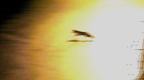 Red Road Bild 7