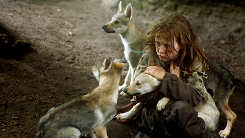 Misha und die Wölfe Bild 4