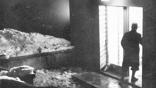 Konfrontation Bild 3