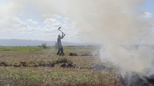 Les Dépossédés Bild 4