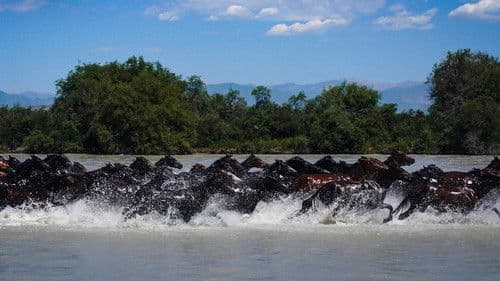 The Legend - Der Arm der Götter schlägt zurück Bild 5