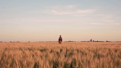 Donde la Justicia se Esconde Bild 2