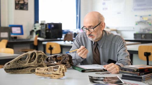 El valle de Concavenator Bild 2