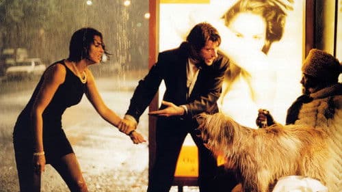 Tenue correcte exigée Bild 3