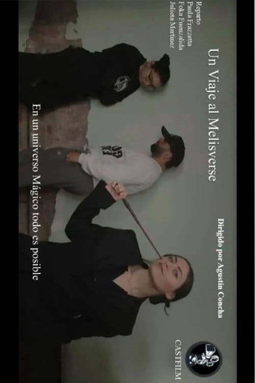 Un viaje al Melisverse