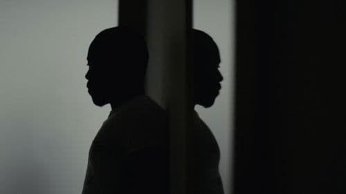 What You Will Bild 1