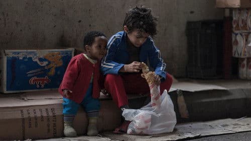 Capernaum - Stadt der Hoffnung Bild 6