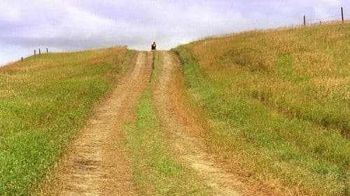 Schrei in der Stille Bild 4