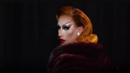 Sous les paillettes, la rage: une histoire du Drag Bild 2