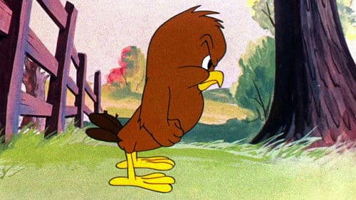 Hühnerauge, sei wachsam Bild 3