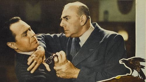 The Black Raven Bild 2