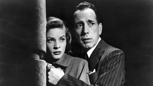 Die schwarze Natter Bild 2