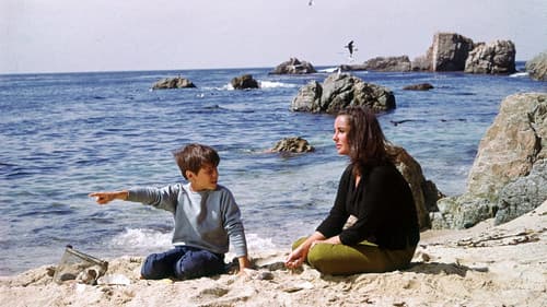 ...die alles begehren Bild 6