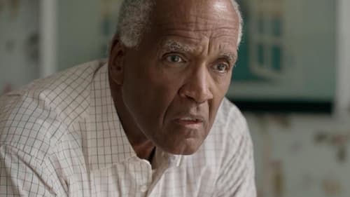 The Brazilian Investment Bild 6