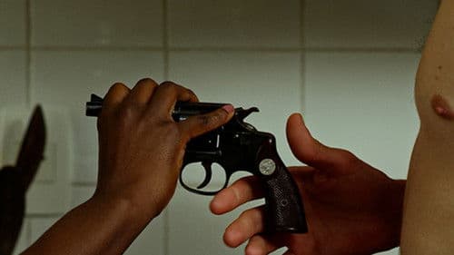 Tiro de Misericórdia Bild 1