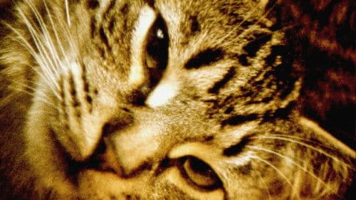 Hours for Jerome Bild 1