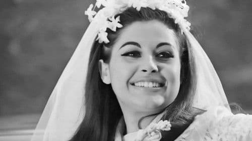 Τρελλός, Παλαβός και Βέγγος Bild 6