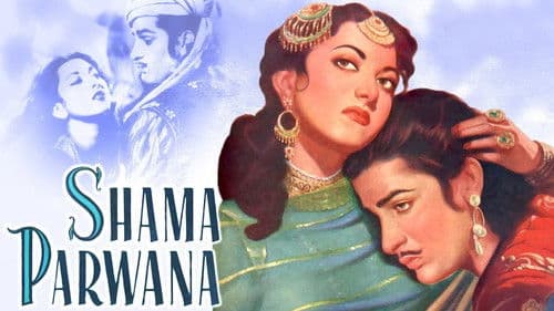 Shama Parwana Bild 3