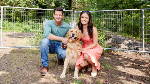 Love and Sunshine Bild 4