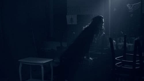 محض لقاء Bild 2