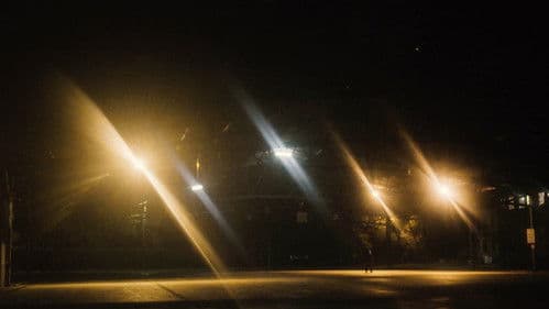 Max et les Étranges Bild 5