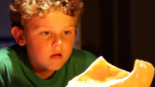 David's Dinosaur Bild 1