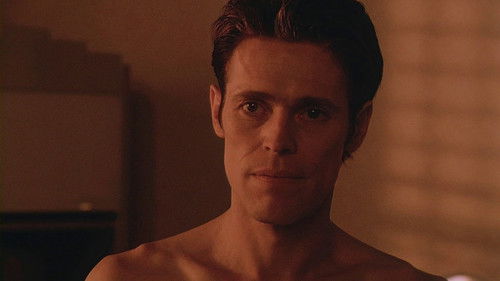 Light Sleeper Bild 6