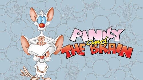 Pinky & der Brain Bild 6