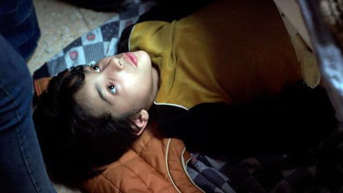 Der wundersame Katzenfisch Bild 2