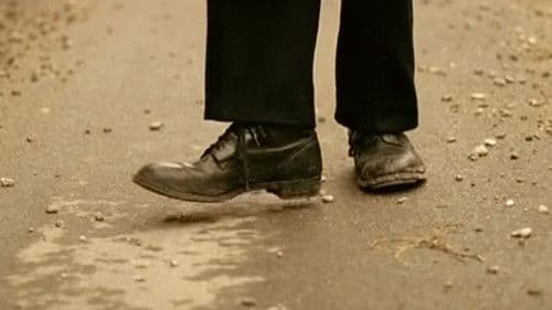 Le télégramme Bild 5