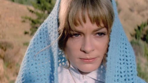 La vraie nature de Bernadette Bild 4