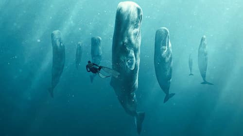 Wale – mit Steve Backshall Bild 4