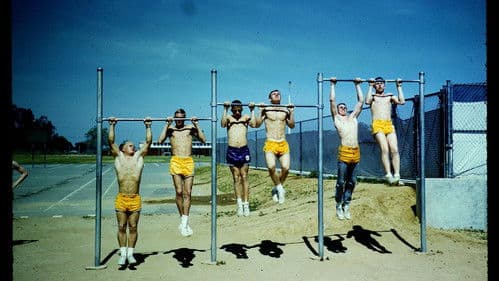 The Motivation Factor: to Become Smart, Productive & Mentally Stable Bild 3