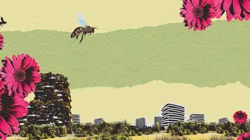 Effetto Terra - Guida pratica per terrestri consapevoli Bild 2